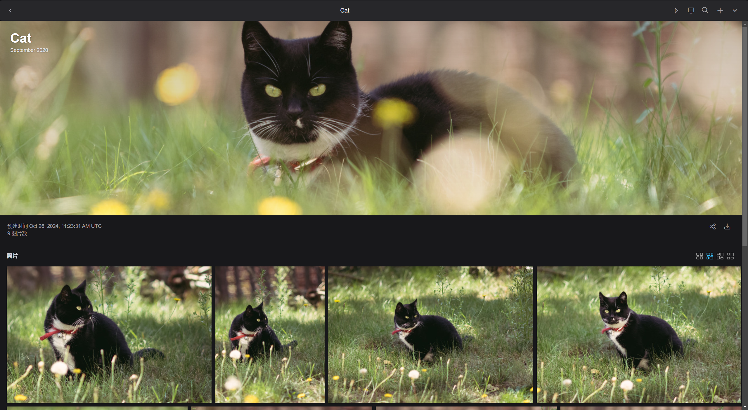 Lychee - 美观且方便地管理图片