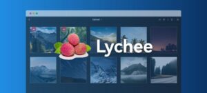 Lychee - 美观且方便地管理图片